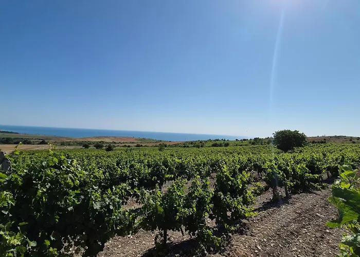 Breathtaking Sea View Appartement